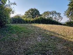 Rayleigh Castle